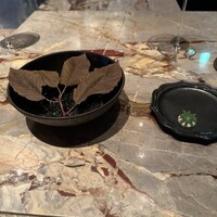 タパス モラキュラーバー - 