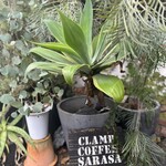 CLAMP COFFEE SARASA - 