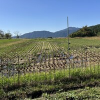 四季の郷志むら - 