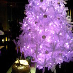 Cita・Cita - 入り口のクリスマスツリー