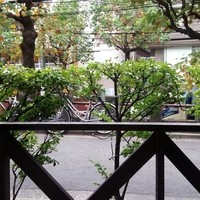 アンティヴィーノ - 