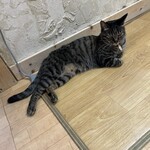 ねこ屋 - 