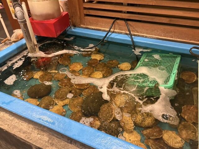 大福丸 - 青森（海鮮）の写真