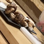 ふぐまどんな - 