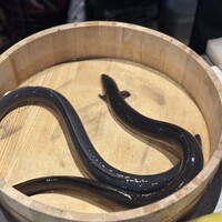 炭焼鰻 寝床 福島店 - 