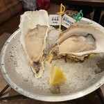 Oyster Bar ジャックポット 府中 - 