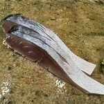 神田錦町 鮨たか晴 - 〆鯖（宮城）