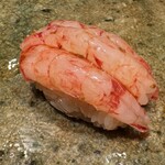 神田錦町 鮨たか晴 - 縞海老