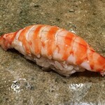 神田錦町 鮨たか晴 - 車海老