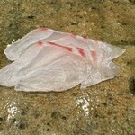 神田錦町 鮨たか晴 - 紅葉鯛（淡路島）