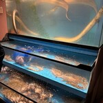 よりしま多幸半 - 