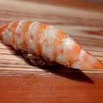 鮨 しょう太 - ■車海老