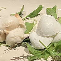 オービカ モッツァレラバー 梅田店 - 