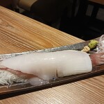 九州の地魚料理 侍 - ヤリイカ姿造り