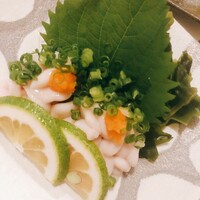 博多海鮮 和たつ美 博多本店 - 鱈の白子