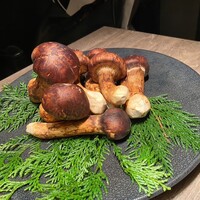 USHIGORO S. SHINJUKU - 