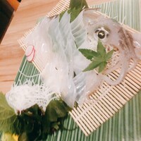 博多海鮮 和たつ美 博多本店 - 烏賊のお造り 目が綺麗