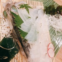博多海鮮 和たつ美 博多本店 - 烏賊のお造り 背鰭も綺麗