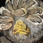 オストラ デ オーレ - 