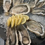 オストラ デ オーレ - 