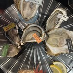 オストラ デ オーレ - 