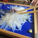 お魚処 玄海 - この透明感