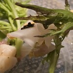 이타리아료우리 루칫코레