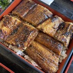 大はかや - うなぎ丼特4,950円