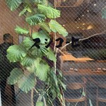 スシコーヒー - 