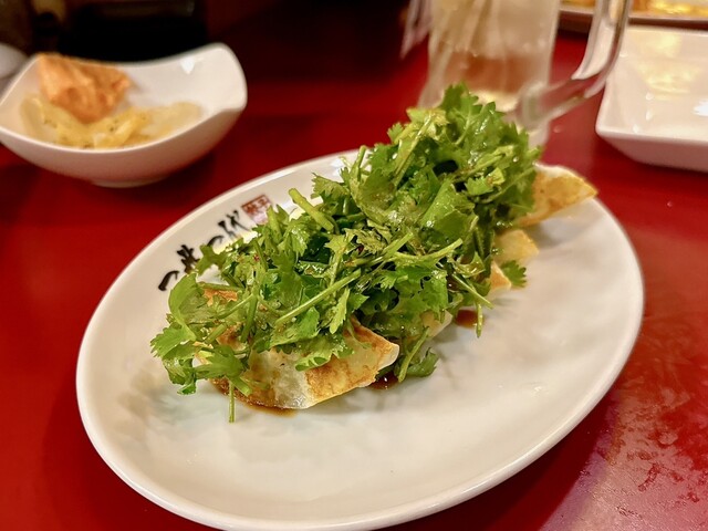 Gyoza Sakaba Issei Ichidai Second Sakae Ten photo 5