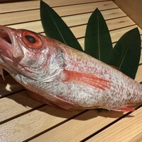 のどぐろ専門 銀座中俣 極 -  のどぐろ専門 銀座中俣 極 -