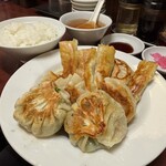餃子専門店 藤井屋  - 餃子全品盛合せ定食