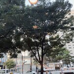 シアトルズベストコーヒー - 