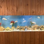 アジアンフォレスト 市ヶ谷店 - 