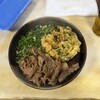 相州そば - 肉そば+いかネギ天