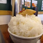 わ楽 - ネギチャーシューオンザ旧ハマさん盛り！