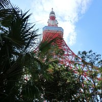 Terrace Dining TANGO - 店内のテラス席の風景です