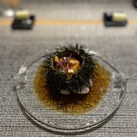 しまなみふれんち Murakami - 