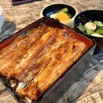 うなぎ馳走 八嶋 - 炭火で香ばしく焼かれた大きなうなぎが2切れ