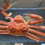 越前田村屋 くるふ福井駅店 - 