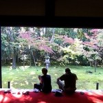 手打ち蕎麦 かね井 - 秋の「高桐院」