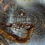 せぶんせぶん - 