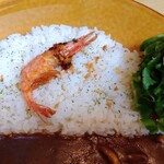 カレー専門店 円山教授 - 煮込み浜カレー(ライスのアップ)