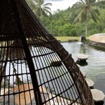 bebek tebaSari rest - 