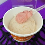 ジェラテリア チルコドーロ - このひとくちの林檎がめちゃくちゃ美味しい