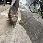 センターグリル - 