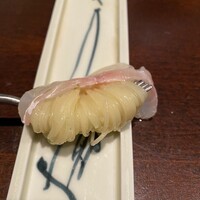 セルサルサーレ - 