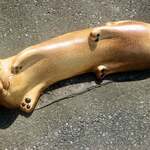 パティスリーイロドリ - 