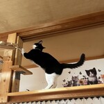 ねこ屋 - 