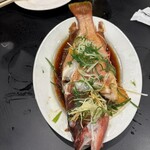 香港 贊記茶餐廳 飯田橋店 - 